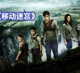 Maze：从迷宫到网络游戏的奇幻之旅